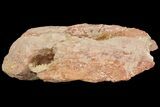 Fluorescent Calcite Geode In Sandstone - Morocco #69897-3